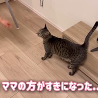 テロップ「ママの方が～」