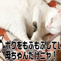 父ちゃんを拒否して眠り始めたおーちゃんさん