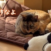 起こすなよ