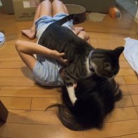 頭を抱え込んで