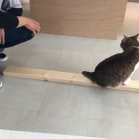 膝をかいて