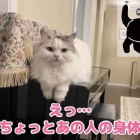 不思議そうなつくしちゃん