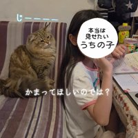 子どもの顔を見つめる猫