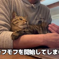 百太さんがかわいくてモフモフが我慢できない飼い主さん
