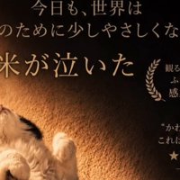 猫の頭
