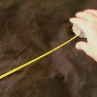 猫じゃらしの棒