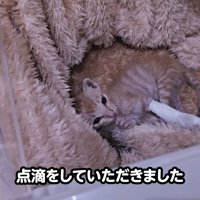テロップ「点滴をしていただきました」