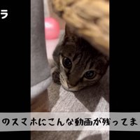 テロップ「ママのスマホに～」