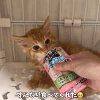 オヤツをもらうからあげくん