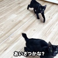 あいさつかな？
