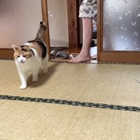 戸から歩いてくる姿
