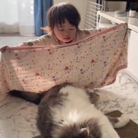 ブランケットを広げる子どもと寝ている猫