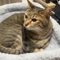 そっぽを向いた姿