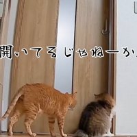 開いてるじゃねーか！