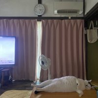 部屋2