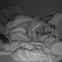 寝ている飼い主と猫