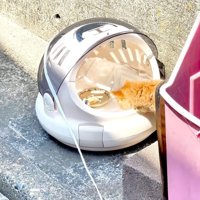 キャリーに入っていく子猫