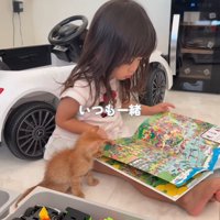 子どもと絵本を見る子猫