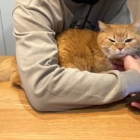 パパさんの腕の中に入ったプリンくん