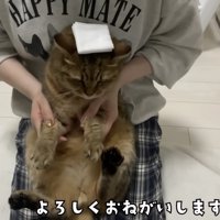 よろしくおねがいします