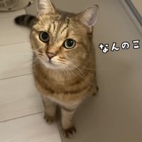 なんのことかな？