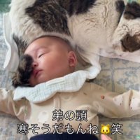 赤ちゃんと猫