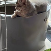 トイレで寝る湊くん