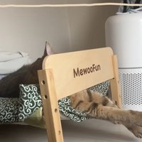 ベッドで寝ている猫