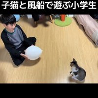 風船を持つ男の子