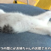 テロップ「いつの間にか～」