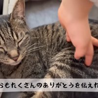 テロップ「ママからもたくさんの～」