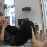 座るママさんと3ニャンズ