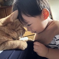 おでこをくっつける猫と赤ちゃん