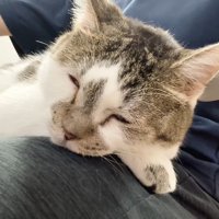 ねんね