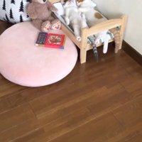 猫用ベッドの上に並んで眠る2頭の猫