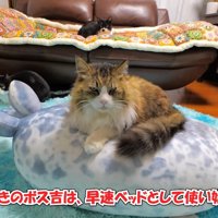 今から10日前