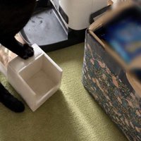 猫のごはんが入っている機械