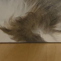 透明のカゴの中に入ったマーブル模様の物体