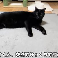 固まるリオ君