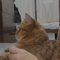 最後まで見続けるみにらくん