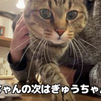 続いてやってきた牛太郎さんが