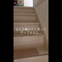 何か静かだと思って