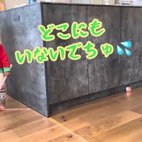 テロップ「どこにも～」