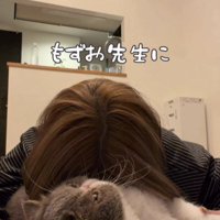 飼い主の頭をつかむ猫