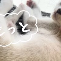 もっと