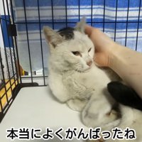 テロップ「本当によくがんばったね」