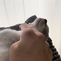 顎下をなでなで