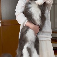飼い主の頭から膝までの体長がある猫