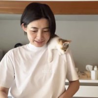 女性が投げたものを目で追う子猫