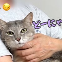 テロップ「どーよ」「どーにゃ」